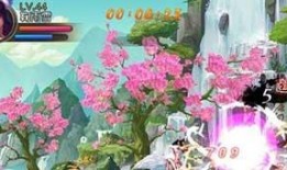 狐妖粉丝爆料视频大全集,视频大全集精彩瞬间回顾