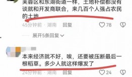 网友爆料新闻案例,惊曝某明星涉嫌违法，事件真相引发热议